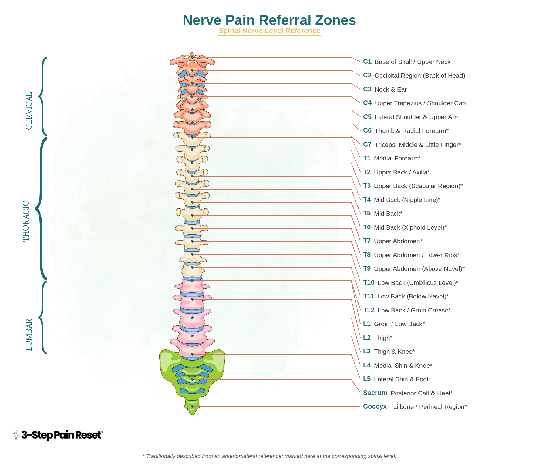 nerve pain referral zones dermatome chart spinal nerve levels 3 step pain reset